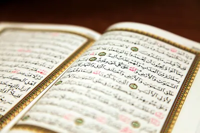 Купить Коран дорогой подарочные в интернет магазине, цена и фото