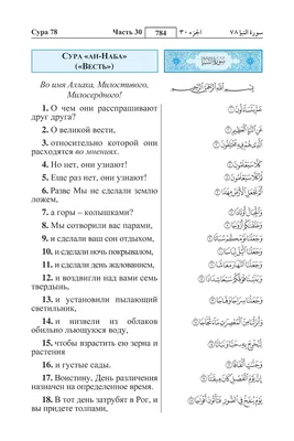 Коран. 29-й джуз. Сура Бакара. Алю Имран. Пропись-тетради для заучивания  Корана на выбор купить по цене 192 ₽ в интернет-магазине KazanExpress