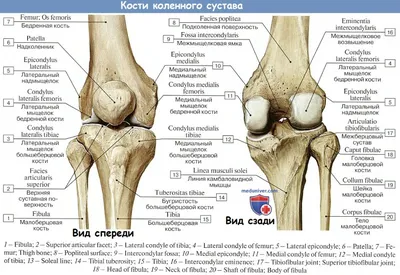 Артроз суставов ✔️: симптомы, причины, диагностика и лечение