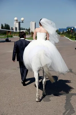 Художественная обработка свадебных фотографий, приглашения на свадьбу  заказать - sharji.ru