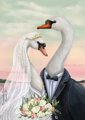 Ретро свадебные лебеди отличный дизайн для любых целей. свадебные лебеди в  стиле мультфильма на белом фоне. следуйте за своим серд Иллюстрация штока -  иллюстрации насчитывающей рамка, икона: 221056809