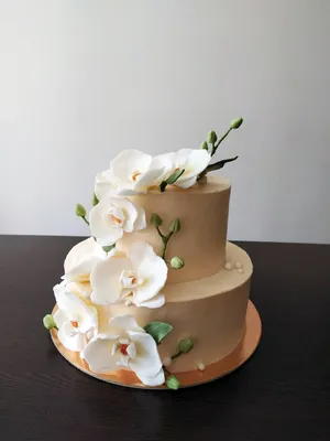 Свадебные тортики этого сезона - любовь🫶🏻 В декоре торта на фото  использованы живые цветы гвоздики💔 .⠀⠀ .⠀⠀ .⠀⠀ .⠀⠀ #macakesby #maсвадьба…  | Instagram
