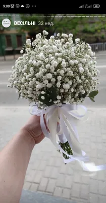 Купить Свадебный букет невесты из орхидей и фрезий R593 с доставкой в  Санкт-Петербурге