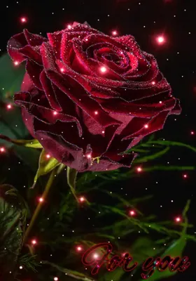Купить Светящиеся цветы Тюльпаны 21 шт. Оранжево-красные (зеленая/синяя) в  MotionLamps.ru