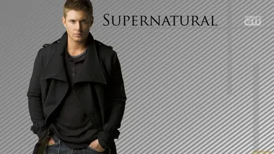 Фигурка Funko Pop Supernatural - Dean (Winchester) / Фанко Поп  Сверхъестественное - Дин (Винчестер) Купить в Украине.