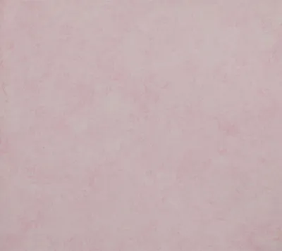 Однотонные светло розовые обои с персиковым оттенком 311559 виниловые на  флизелиновой основе (ID#1187945085), цена: 790 ₴, купить на Prom.ua