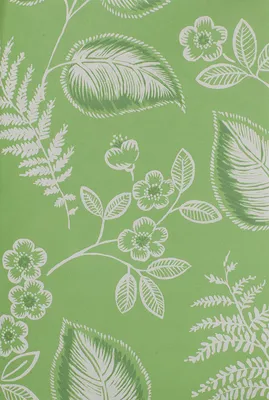 Светло-зеленые флизелиновые обои с белым флористическим рисунком Aura Sunny  Style FD22704 | купить в Москве, цены, фото