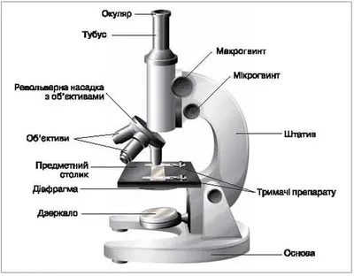 Электронный микроскоп рисунок - 33 фото