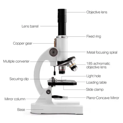 Купить Монокулярный оптический микроскоп 64X-2400X для детей начальной  школы, научная экспериментальная биология | Joom