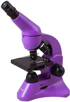 Купить levenhuk Rainbow 50L - оптический микроскоп (Amethyst) 613822 в  Москве в каталоге микроскопов с доставкой. Характеристики, цены в  интернет-магазине iCover.