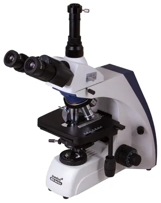 Оптический микроскоп Levenhuk MED 35T купить по выгодной цене!