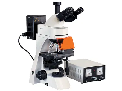 Световой микроскоп ZEISS Axioscope 5 купить от производителя «Карл Цейсс»