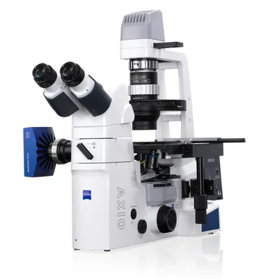 Микроскоп levenhuk Rainbow 2L, Биологический, 400 крат купить по выгодной  цене в интернет-магазине OZON (309331736)