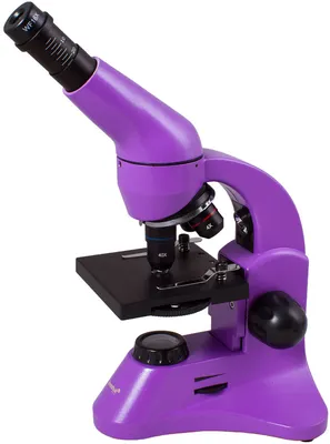 Электронный микроскоп Эрудит H315 (2000x - 1920х1080 / 12Mp) световой  биологический микроскоп с монитором и записью на SD купить по цене 11100  рублей в интернет-магазине Spycams.ru в Москве