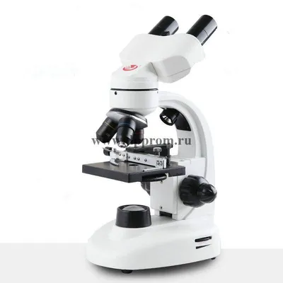 Биологический микроскоп перевернутой клеточной ткани оптический микроскоп |  ROK International