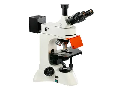 Купить levenhuk Rainbow 50L Plus - оптический микроскоп (Amethyst) 619662 в  Москве в каталоге микроскопов с доставкой. Характеристики, цены в  интернет-магазине iCover.