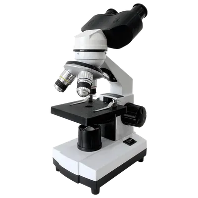 Как устроен световой микроскоп и как с ним работать? | Биология с Марией  Семочкиной | Дзен