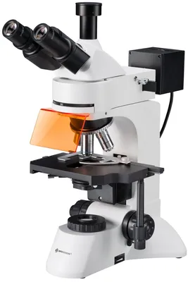 Оптический микроскоп, индивидуальный лабораторный микроскоп, бинокулярный,  регулируемый стерео оптический микроскоп | AliExpress