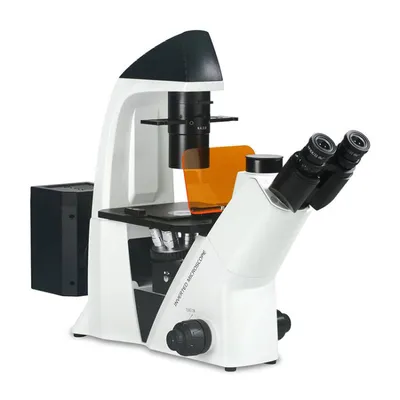 Устройство современных оптических микроскопов и ассортимент приборов | Наша  Газета