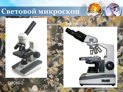 Прямой оптический микроскоп BX53M - купить в Москве по цене от 0 руб в  интернет-магазине «Техно-НДТ»
