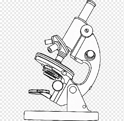 1200X микроскоп детский оптический микроскоп со светодиодной подсветкой  бутылки для сбора 12 шт. слайды для – лучшие товары в онлайн-магазине Джум  Гик