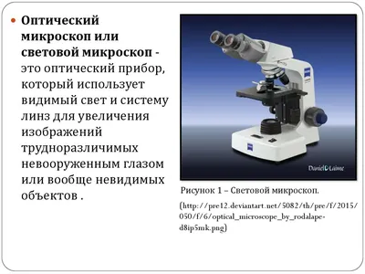 Биологический микроскоп перевернутой клеточной ткани оптический микроскоп |  ROK International