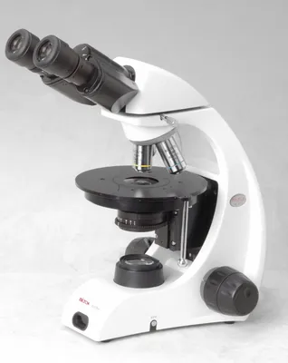 Оптический микроскоп, черно-белые рисунки, угол, белый, текст png | PNGWing