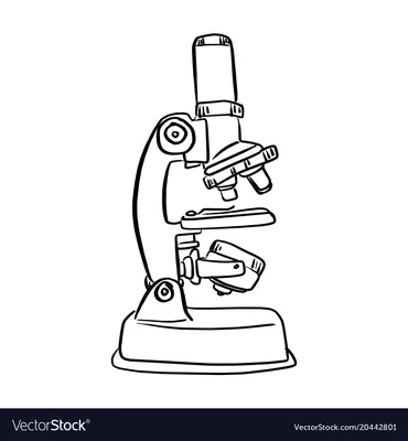 Оптический микроскоп Discovery Nano Gravity с книгой купить по выгодной  цене!