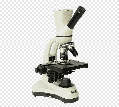 Микроскоп 402031980 купить по выгодной цене в интернет-магазине OZON  (1095335951)