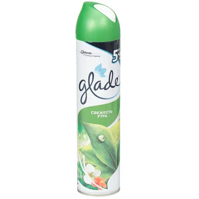 Glade Аэрозоль \"Свежесть утра\", 300 мл - купить с доставкой по выгодным  ценам в интернет-магазине OZON (254458639)