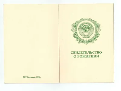 В транспортной прокуратуре заявили о недопустимости использования  заламинированного свидетельства о рождении : Урал56.Ру. Новости Орска,  Оренбурга и Оренбургской области.