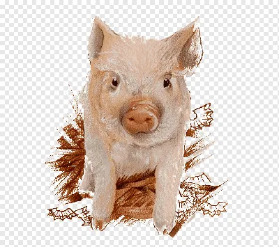 Любящая рисовать свинья заработала £1 млн на своих картинах - Газета.Ru |  Новости