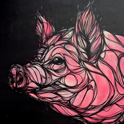 Морда свиньи рисунок карандашом - 48 фото