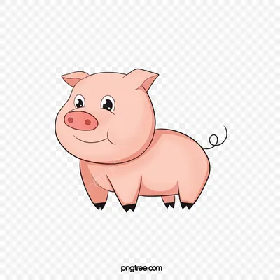 Кистеухая свинья — Википедия