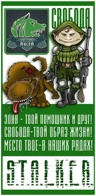 Командир отряда Свободы с Топей | S.T.A.L.K.E.R. Моды Wiki | Fandom