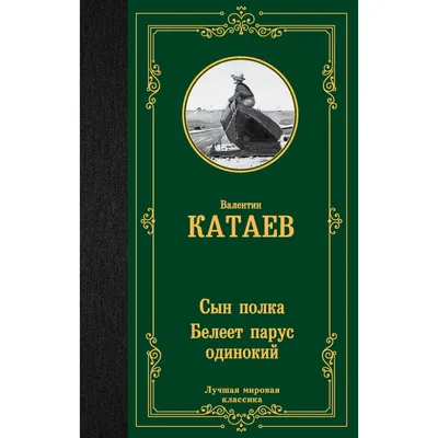 Катаев сын полка иллюстрации - 49 фото