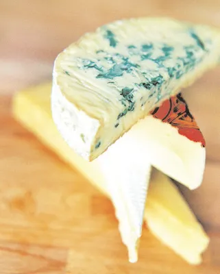 Томский сыр стал лучшим на международном конкурсе во Франции - Томский  Обзор – новости в Томске сегодня