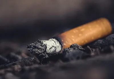 Табак на развес Американ бленд от компании Табак-24 | Записки про табак |  Дзен