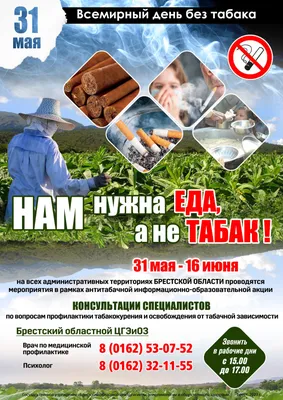 Всемирный день без табака - Брестская городская детская поликлиника №2