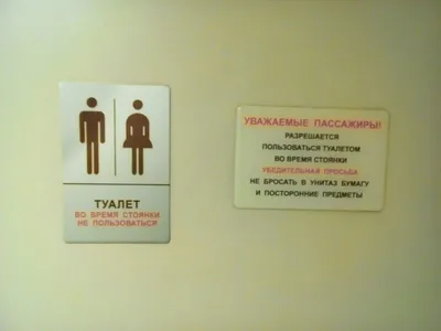 Табличка на туалет для женщин - ПринтМания