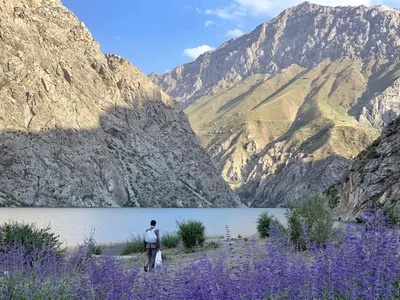 Tajikistan ｜ Where We Work - JICA