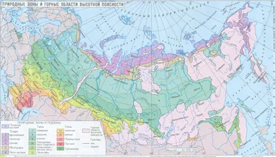 Цикл азота в экосистемах южной тайги Европейской России, С. М. Разгулин –  скачать pdf на ЛитРес
