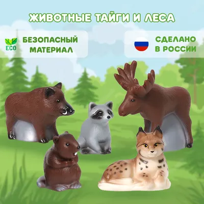Сибирская тайга: бесценный дар человечеству | RATNIK.TV
