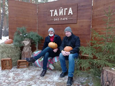 Деревья пошли на север»: тайга в России вытесняет тундру из-за потепления