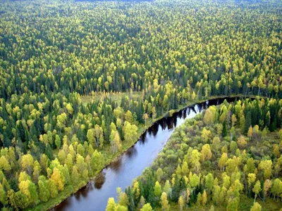 Междуреченск. Город тайги. | Mezhdurechensk