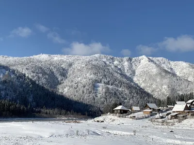 Тайга 🌟 Описание, расположение, особенности, фото и видео -  Научно-популярный журнал: «Как и Почему»