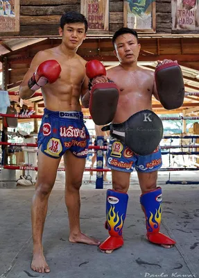Купить Перчатки для тайского бокса FAIRTEX BGV1 по низкой цене с доставкой  из марктеплейса Fight Express