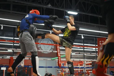 Секция тайского бокса в Москве — Академия Бокса