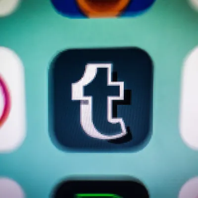 Tumblr settles with NYC Commission on Human Rights over adult content ban -  The Verge