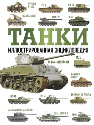 Советские танки и новейшие дроны: как сражаются украинцы в Херсонской  области. Репортаж France 24 - RFI